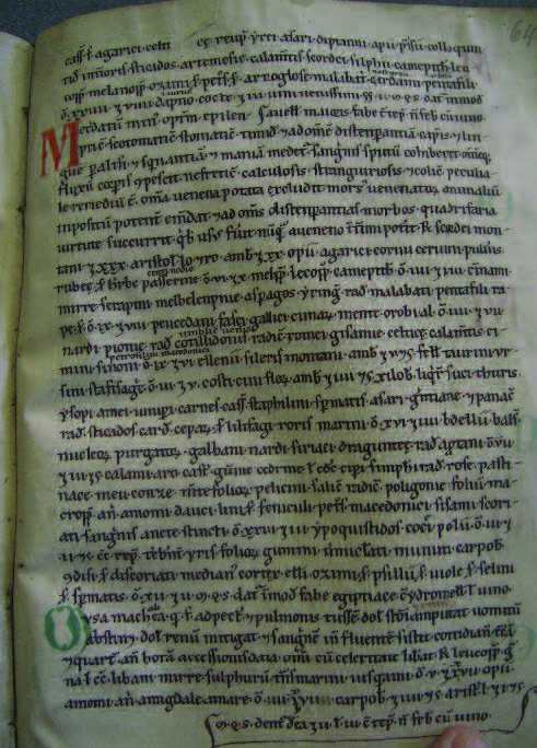 En ferdig skrevet codex-side fra Antidotarium magnum.