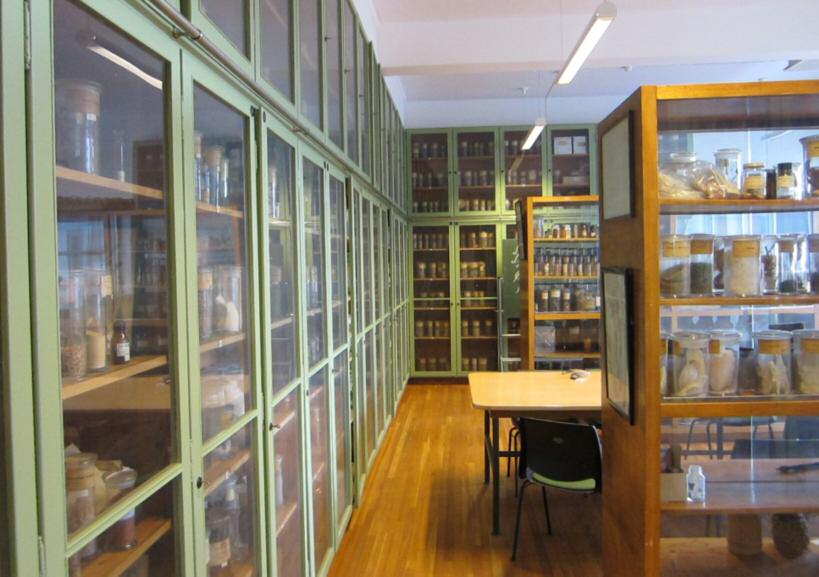 Fig. 1. Interiøret i drogesamlingen.