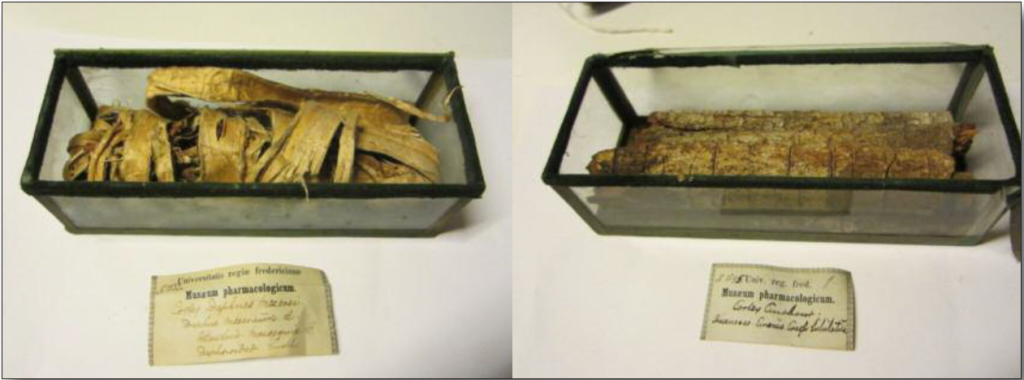 Fig. 12. To av boksene med medisinplanter fra samlingen Musæum Pharmacologicum.