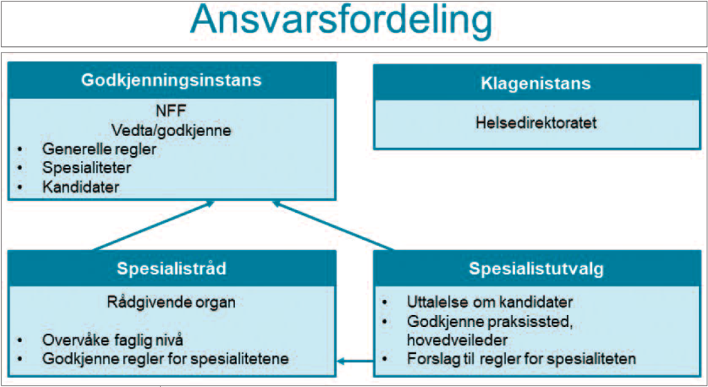 Fig. 2 Ansvarsfordeling.