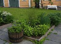 Føresommar (juni -12) i St. Jørgens urtehage. Groblad er «freda» mellom heller og plantebed. Foto: Bjarne Thune.