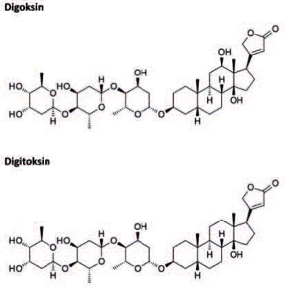 Kjemiske formler av digoksin og digitoksin. De syntetisk framstilte hjerteglykosidene digitoksin og digoksin har vært de viktigste klinisk anvendte digitalisstoffene etter at drogen «Folium Digitalis» gikk ut av bruk. Etter 2014 brukes bare digoksin, også i Norge. For nærmere detaljer, se tekst.