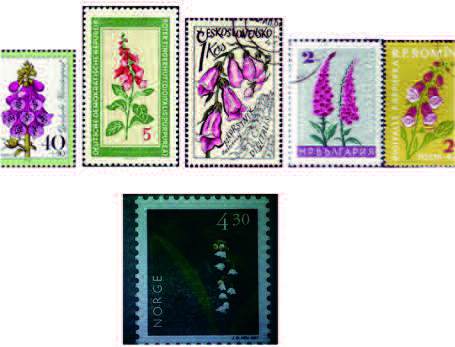 Revebjelle har opptrådd på en rekke europeiske frimerker, men aldri i Norge (øverste linje). Det nærmeste vi harkommet på et norsk frimerke er liljekonvall (nederst) utgitt i 1997 basert på et fotografi av naturfotografen JonØsteng Hov. Også liljekonvall («Convallaria majalis L») i Liljefamilien inneholder hjerteglykosider, men i mindremengder enn i revebjelle. I barn er sett forgiftninger, vanligvis lette, etter at de har spist liljekonvallplante eller rødebær. Hele planten er giftig. Symptombildet er preget av magebesvær, men hjertepåvirkning er også iakttatt.